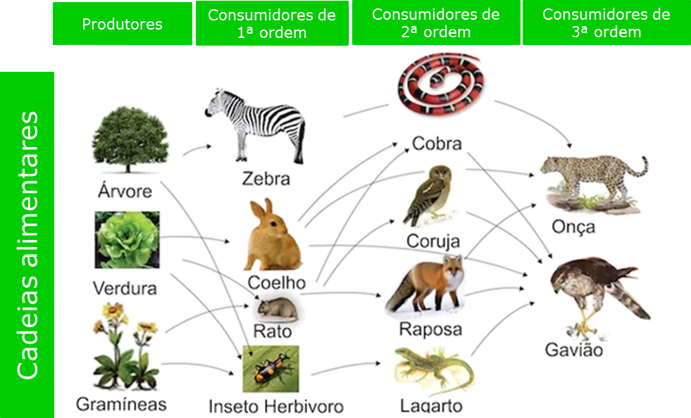 Teia alimentar