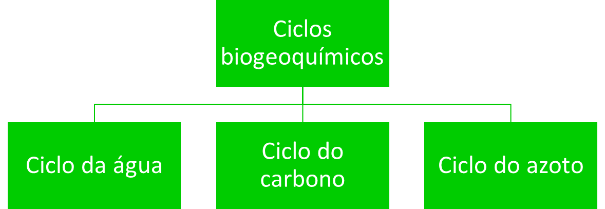 Ciclos biogeoquímicos