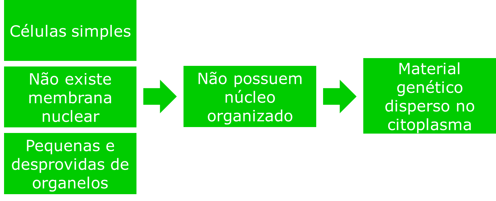Características das células procariotas