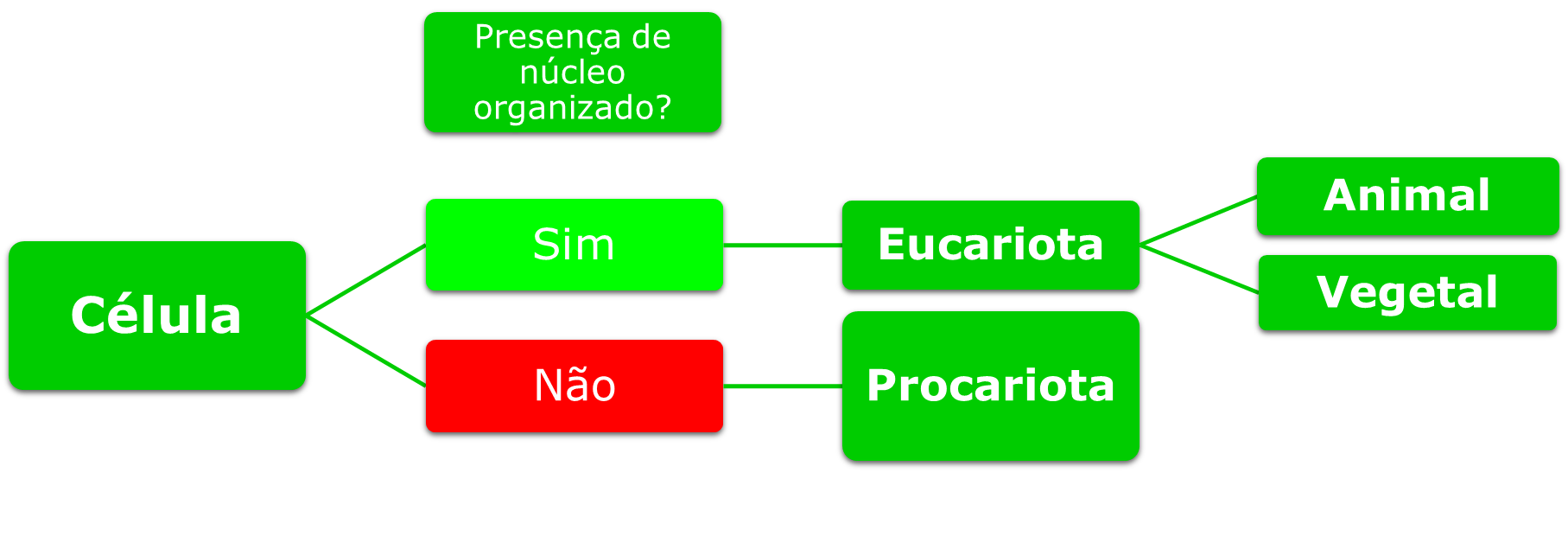 Tipos de células