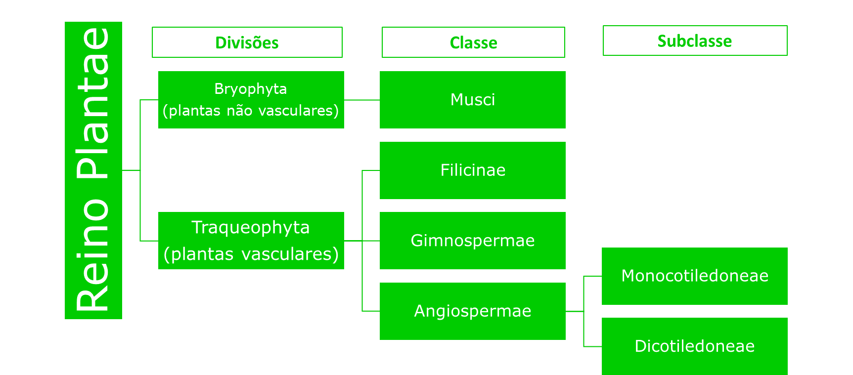 Classificação clássica e simplificada das plantas