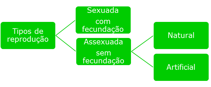 Tipos de reprodução