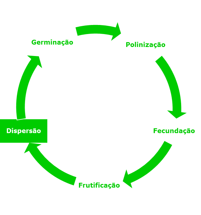 Dispersão