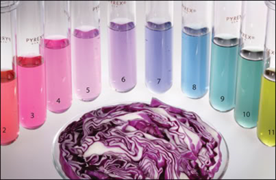 quimica9 1 slide8.4
